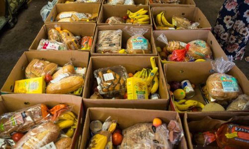 Food bank thrives, thanks to volunteers