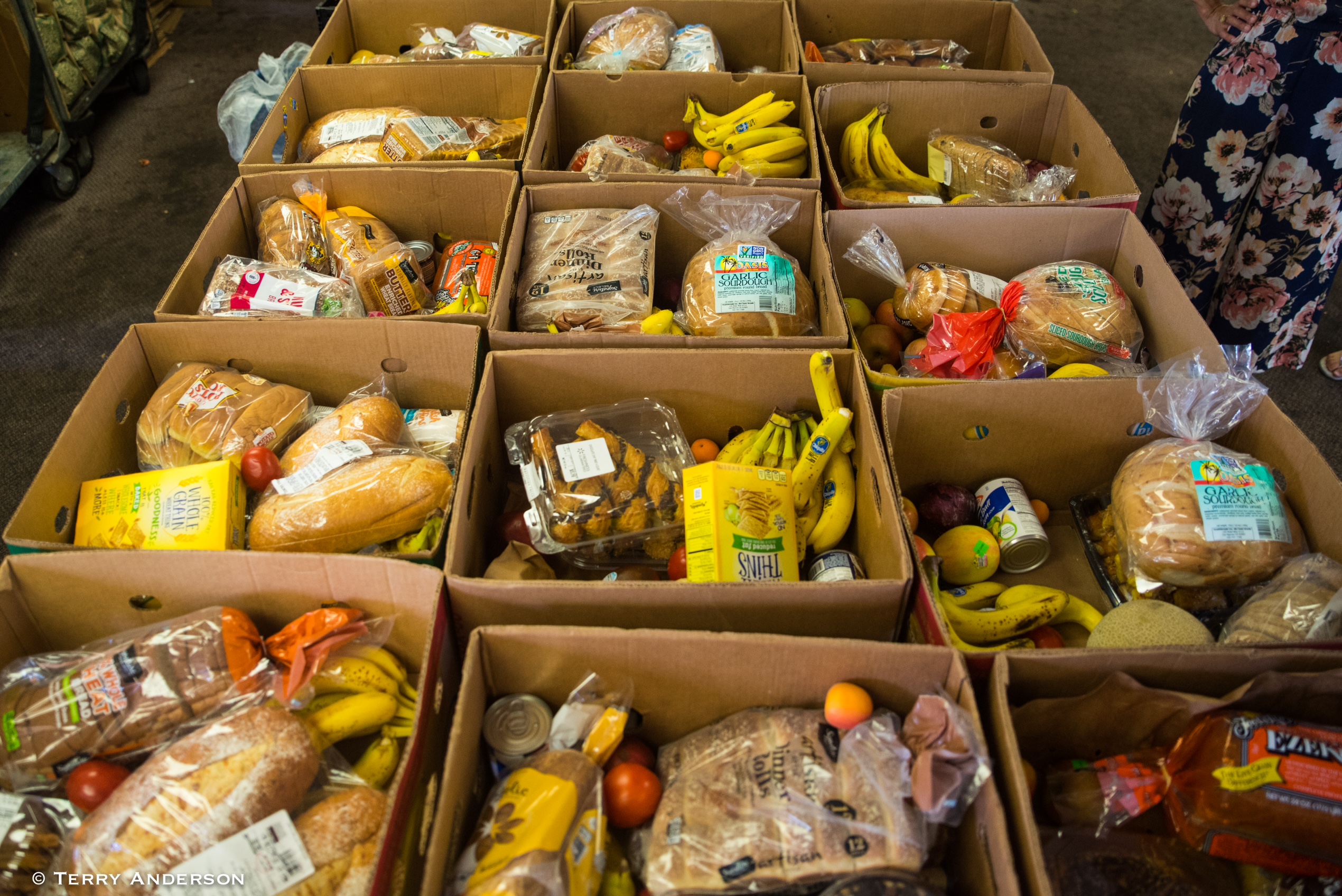 Food bank thrives, thanks to volunteers San Diego Words and Pictures