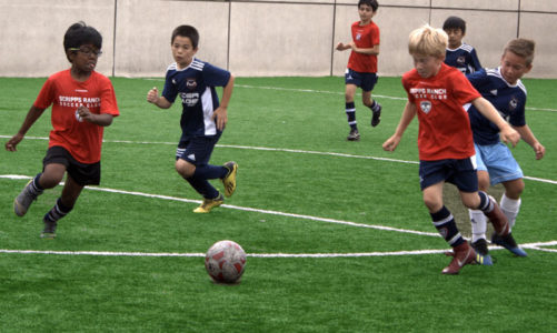Soccer park fuels dreams