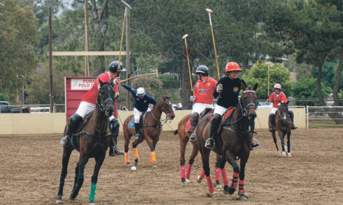 Polo Club offers surprising fun