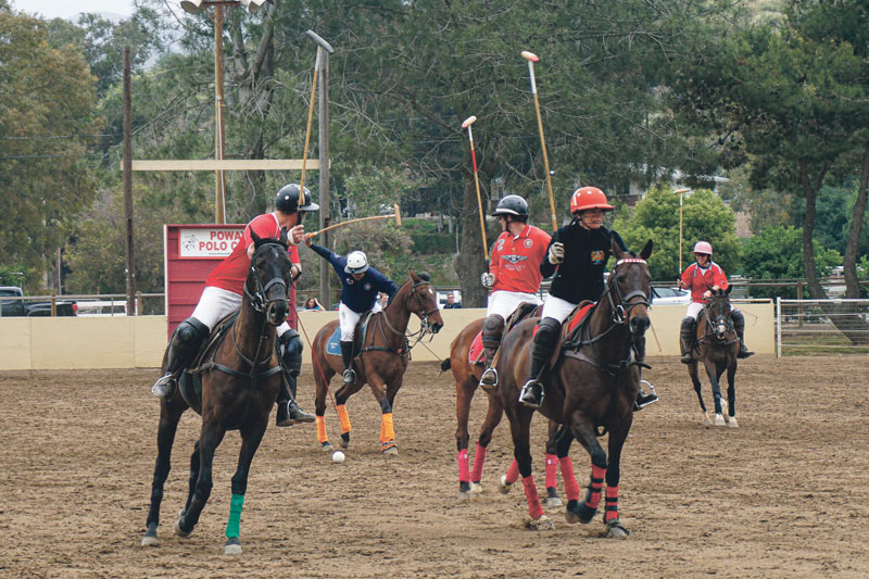 Polo Club offers surprising fun – San Diego Words and Pictures