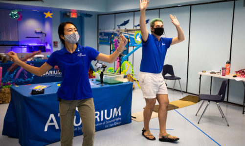 Aquarium launches virtual education