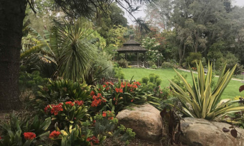 Garden-to-Table fundraiser set