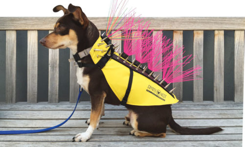 CoyoteVest: apparel that protects