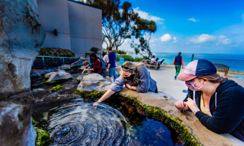 Birch Aquarium is completely open