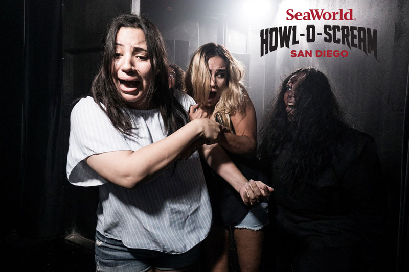 SeaWorld is hiring actors for HowlOScream San Diego Words and Pictures