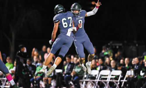 BIG PLAY CELEBRATION