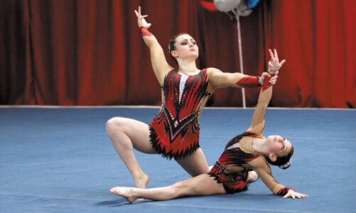 Pair gains silver for Team USA 